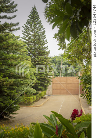 Image of a backyard with pine trees, pine trees and an exit door 122647744