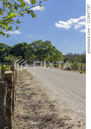 A road surrounded by trees with clouds and blue sky, a road surrounded by trees on a sunny day with copy space 122647787