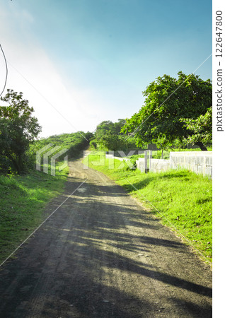 A road surrounded by trees with clouds and blue sky, a road surrounded by trees on a sunny day with copy space 122647800