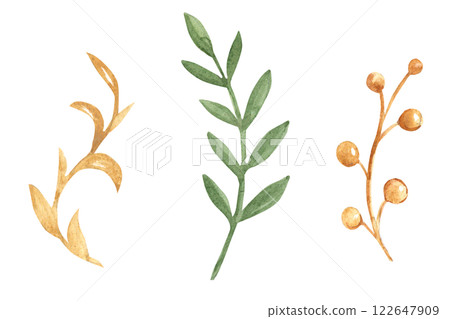 Branches Set in green and gold colors. Hand drawn Watercolor floral illustration isolated on a white background. Design elements for greeting cards and prints, floral designs. Branches Set in green and gold colors. Hand drawn Watercolor floral illustration isolated on a white background. Design elements for greeting cards and prints, floral designs. 122647909
