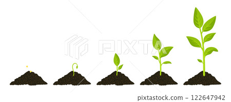Flat Color Cartoon Vector Plant Growth Stages From Seed To Sprout, Leaf Development, Full-Grown Plant. Green Leaves, Sprouting, Soil, Nature, Agriculture. Concept Of Growth, Development, Farming Flat Color Cartoon Vector Plant Growth Stages From Seed To Sprout, Leaf Development, Full-Grown Plant. Green Leaves, Sprouting, Soil, Nature, Agriculture. Concept Of Growth, Development, Farming 122647942