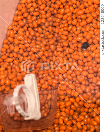 Bright orange beans being processed in a vibrant agricultural setting Bright orange beans being processed in a vibrant agricultural setting 122648009