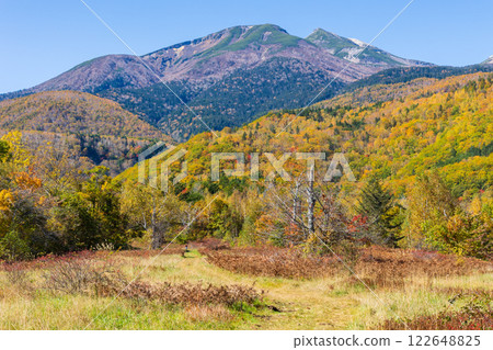 Autumn in Shinshu Nagano: Autumn leaves at Norikura Plateau 122648825