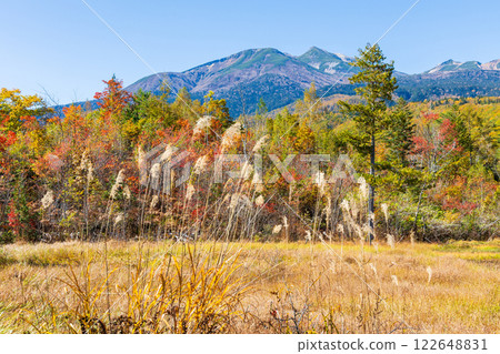 信州長野的秋天:乘鞍高原的紅葉 信州長野的秋天:乘鞍高原的紅葉 122648831