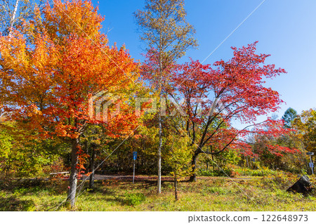 Autumn in Shinshu Nagano: Autumn leaves at Norikura Plateau 122648973