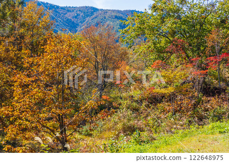 Autumn in Shinshu Nagano: Autumn leaves at Norikura Plateau 122648975