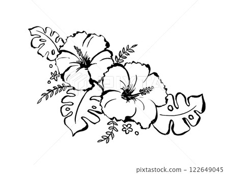 simple hibiscus illustration 122649045
