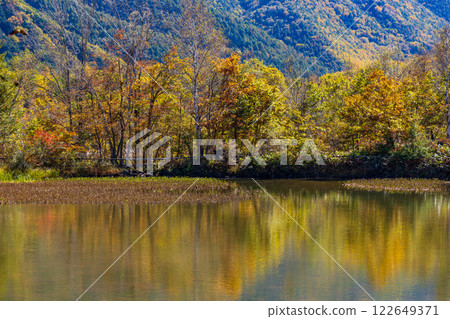 Autumn in Shinshu Nagano - Autumn leaves at Norikura Plateau - Azalea Pond 122649371