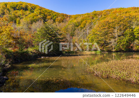 Autumn in Shinshu Nagano - Autumn leaves at Norikura Plateau - Azalea Pond Autumn in Shinshu Nagano - Autumn leaves at Norikura Plateau - Azalea Pond 122649446