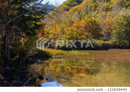 信州長野的秋天 - 乘鞍高原的紅葉 - 杜鵑池 信州長野的秋天 - 乘鞍高原的紅葉 - 杜鵑池 122649449