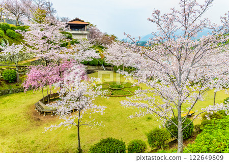 尾道：千光寺公園櫻花盛開 122649809