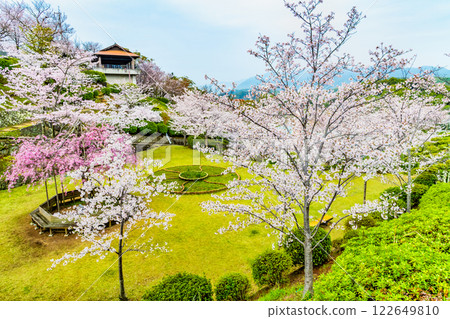 Onomichi: Cherry blossoms in full bloom at Senkoji Park 122649810