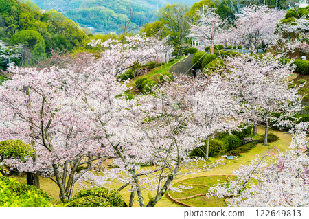 Onomichi: Cherry blossoms in full bloom at Senkoji Park 122649813