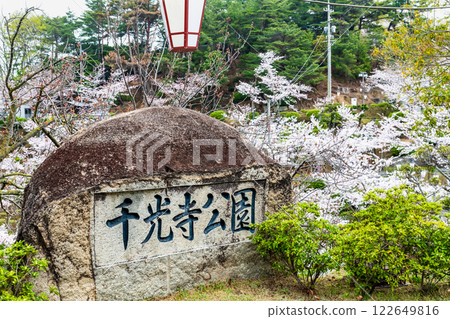 尾道：千光寺公園櫻花盛開 122649816
