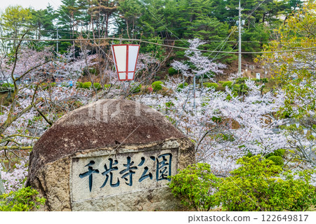 尾道：千光寺公園櫻花盛開 122649817