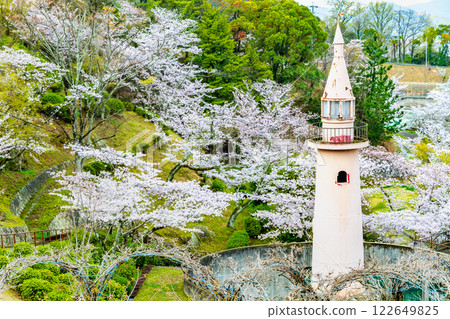 尾道:千光寺公園櫻花盛開 尾道:千光寺公園櫻花盛開 122649825