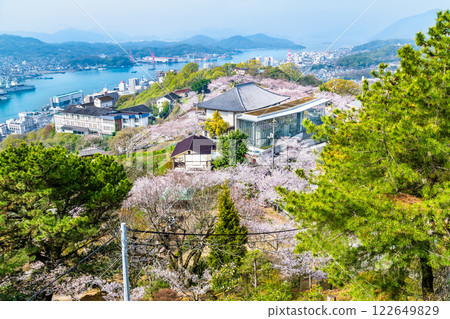 Onomichi: Cherry blossoms in full bloom at Senkoji Park 122649829