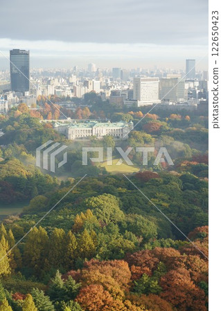 迎賓館和赤坂天皇的秋葉 122650423