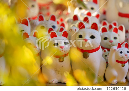 豪德寺的招財貓和黃葉 122650426