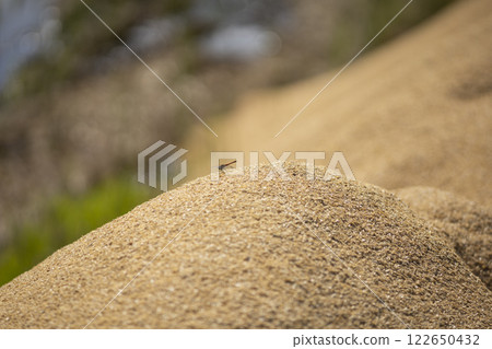 A red dragonfly resting on a rice husk 122650432