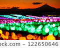 Mother Farm Illuminations and Mt. Fuji 122650646