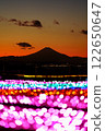 Illuminations and the silhouette of Mt. Fuji 122650647