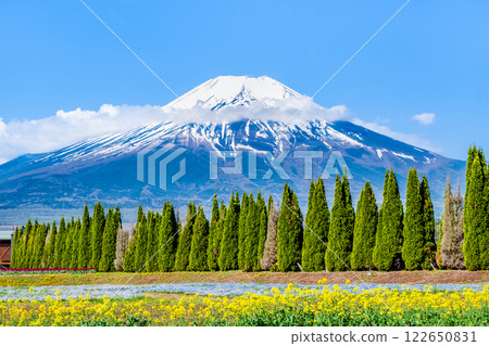 富士山和花園～山中湖花宮公園～ 122650831