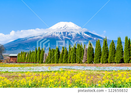 富士山和花園～山中湖花宮公園～ 122650832