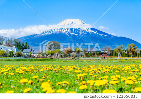 富士山和花園～山中湖花宮公園～ 122650833