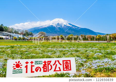 Mt. Fuji and flower garden ~Yamanakako Hananomiyako Park~ 122650839