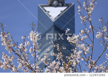 被櫻花環繞的福岡塔 122651082