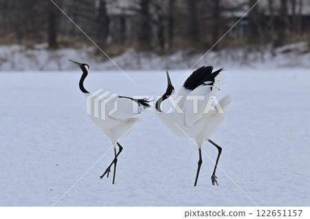 日本起重機，著陸 122651157