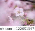 Dark pink 122651347