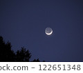 The moon seen beyond the forest 122651348