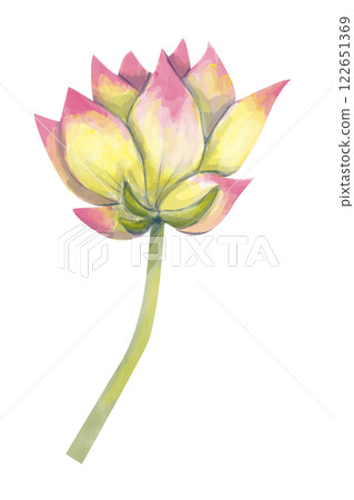 watercolor, lotus, flower 122651369