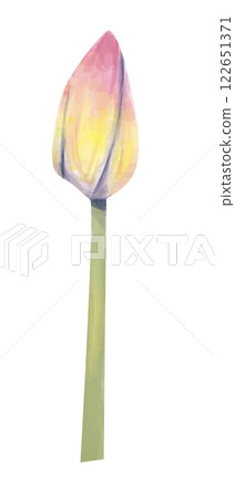 watercolor, lotus, flower 122651371