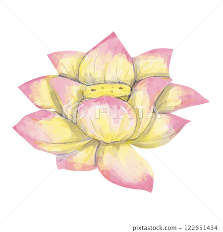 watercolor, lotus, flower 122651434