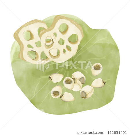 Watercolor Leaf, Lotus Root Pieces and Seeds, Illustration Composition for Web, Print, Textile, Products and Advertising	 122651491