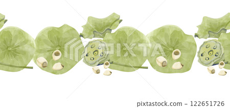 Watercolor Seamless Pattern Border with Leaves, Seed Pods and Seeds of Lotus Plant, for Print, Web and Textile Watercolor Seamless Pattern Border with Leaves, Seed Pods and Seeds of Lotus Plant, for Print, Web and Textile 122651726