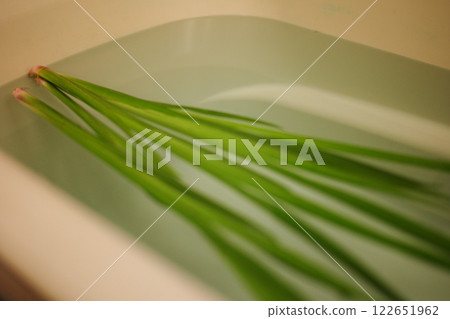 Iris bath for Boys' Festival 122651962