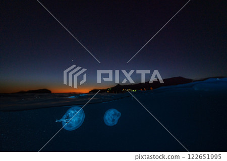 黃昏時分漂浮在海洋中的月亮水母,小笠原 黃昏時分漂浮在海洋中的月亮水母,小笠原 122651995