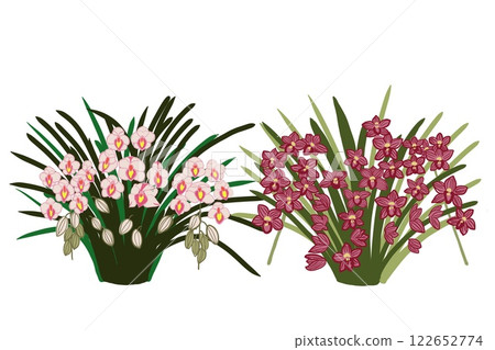 蘭花手繪插畫素材 122652774