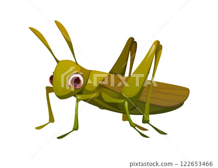 Cartoon funny locust insect character with large, expressive eyes, prominent wings and legs. Isolated vector natural bug or pest locust personage is a type of insect that belongs to grasshopper family 122653466
