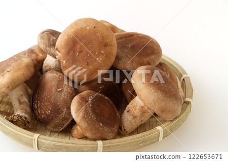 Shiitake mushrooms arranged softly in a colander - 3:2 Shiitake mushrooms arranged softly in a colander - 3:2 122653671