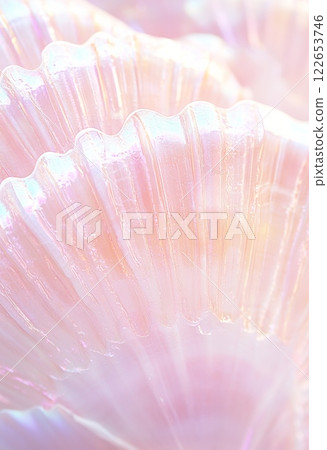 Pink and white seashells close-up. Abstract background 122653746