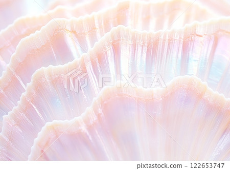 Pink and white seashells close-up. Abstract background 122653747
