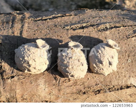 德栗蜂三兄弟差點被火爐燙死。 122653963