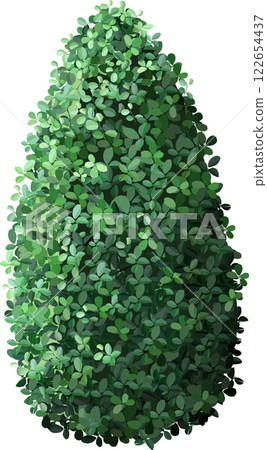 Dense, vibrant green leaves form a conical bush, showcasing natural beauty and symmetry. Ideal for garden design, landscaping, and nature themed projects 122654437