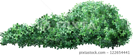 Lush green leaves densely packed together create a natural hedge. The vibrant foliage forms a thick, textured barrier, ideal for garden landscaping or nature themed designs 122654441