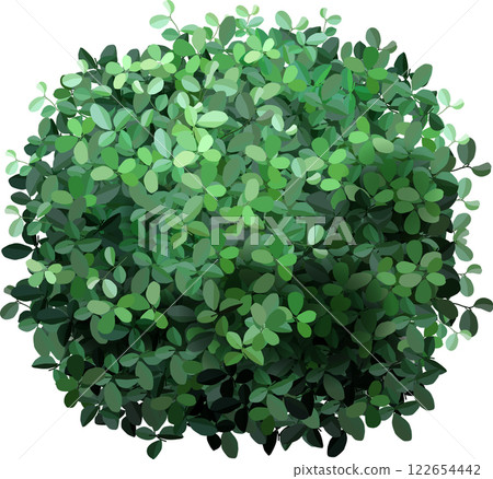Top view of a perfectly spherical bush with many small green leaves, creating a dense and vibrant foliage, isolated on a white background, suitable for architectural or landscaping visualization 122654442
